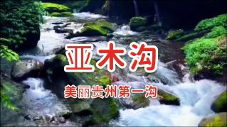 黄国平秘事：一个寒门学子的“求生史”